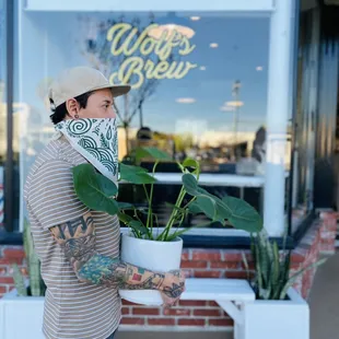 Coffee &amp; Plants