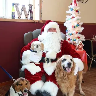 santa with his dogs