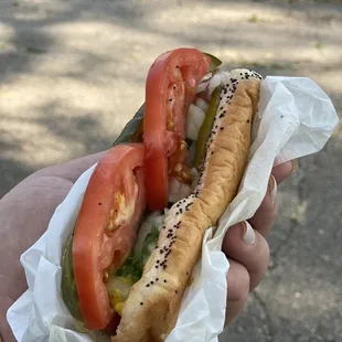 a hot dog with tomatoes and onions