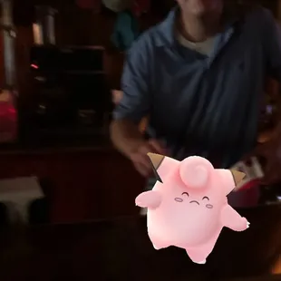 Pj with the Wolski's Clefairy!