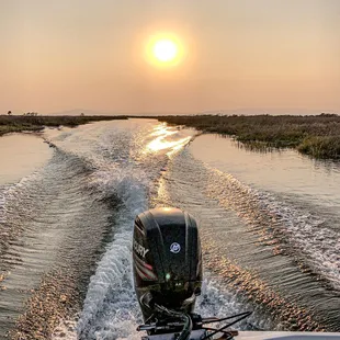 Napa River Cruises and Wetlands Sunset Tours.
