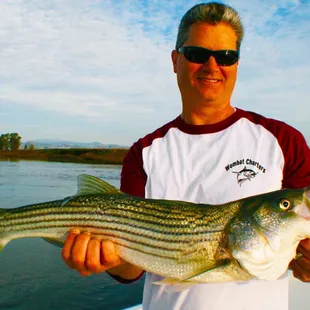 Striped Bass Fishing Charter.