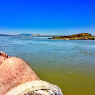 At anchor. Doing nothing. Photo Capt. Aussie Bob, Wombat Charters Napa California.