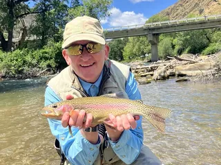 Napa Valley Fly Guides