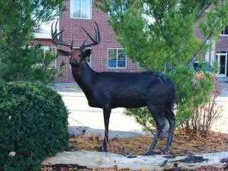 Gateway Dermatology: Bigler David A MD