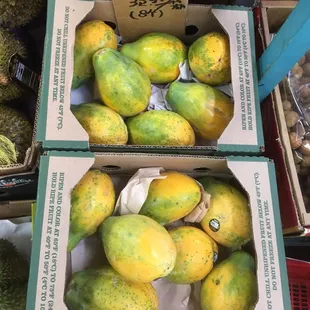 Hawaiian papaya $4.59 each or 8ct box for $32.99