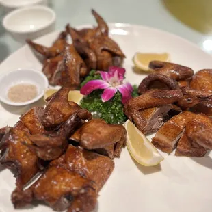 squab