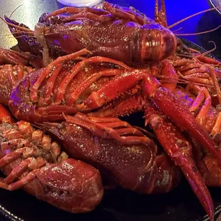 Giant crawfish are back. I am so happy