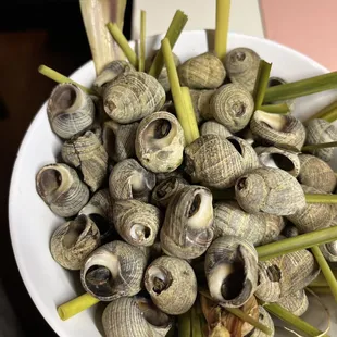 great snails, fresh, and they remove the ends of the shells for you! 10/10