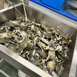 blue crabs in a bowl