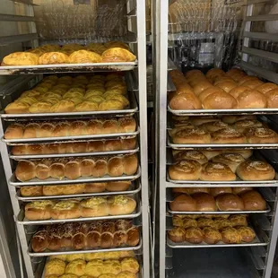 Freshly baked buns