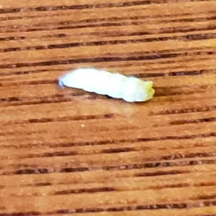 This is a picture of the dead maggot my wife found in her vegetable soup. Reported to the Marion County Health Department.