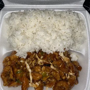 rice and chicken in a styrofoam container