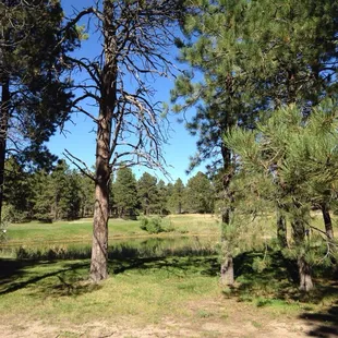 Wonderland Ranch