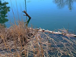 Elizabeth Park & Recreation District