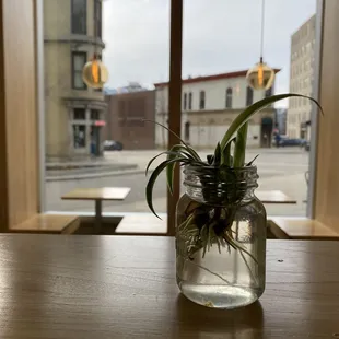 Clean and simple decor