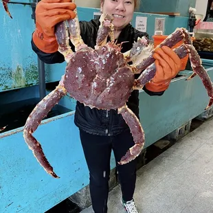 I got king crab today. It so big around 12 pounds.  I love it.