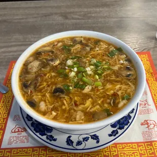 Hot n Sour soup