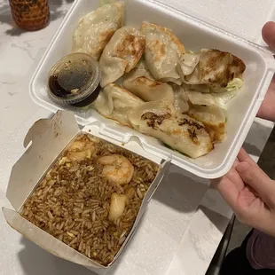 Shrimp Fried Rice, Pork,Dumplings