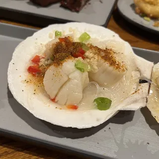 Scallop