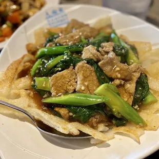 My favorite dish here: chinese broccoli beef chow fun (extra crispy noodle). SO good!