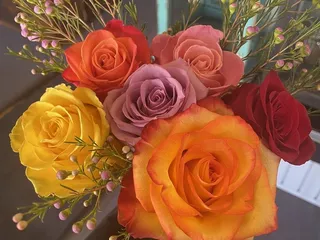 Dundee Florist