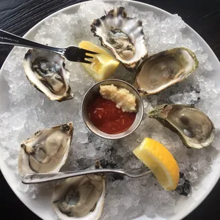 Oysters