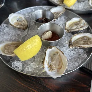 Oysters
