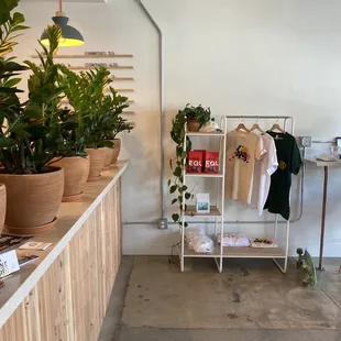 a display of plants and clothes