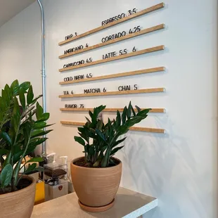 Plant based menu