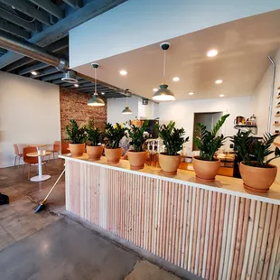 Lots of plants. Cool space.