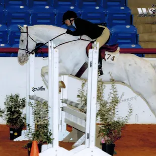 Christy Wood competing at World Show