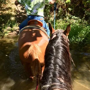 Cowboy needed a little help crossing the river.