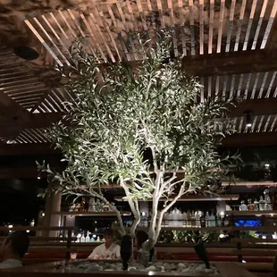 Inside