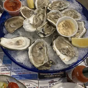 MD oysters