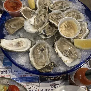 MD oysters