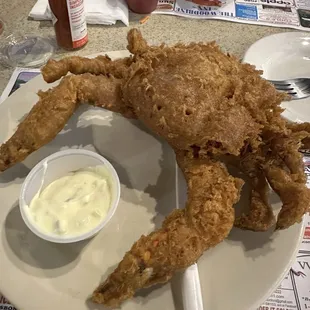 "Soft shell" hard fry