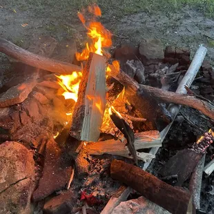 Ally type of firewood for any occasion