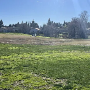 Back nine fairway and rough somewhere around 14-16