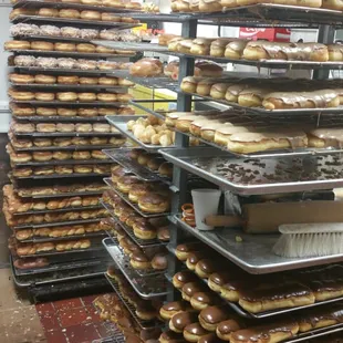 shelves of donuts in a store