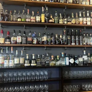 shelves full of liquor