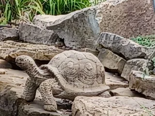 Edgewood Winery and Event Center