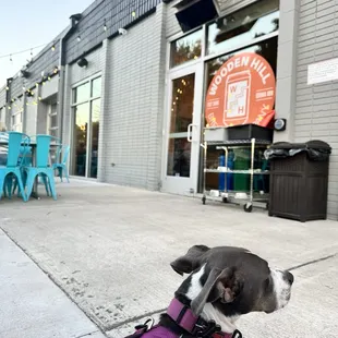 Dog friendly patio