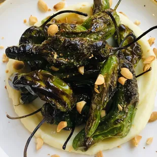 Grilled Shishito peppers
