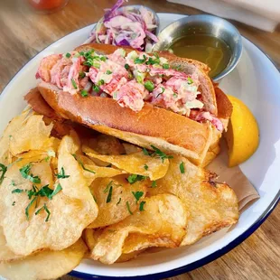 Split - top Maine Lobster Roll and potato chips.