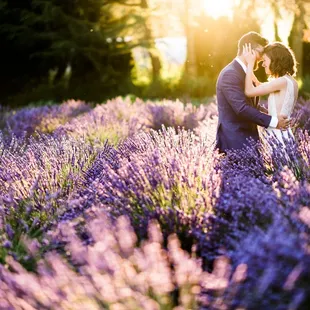 Woodinville Lavender