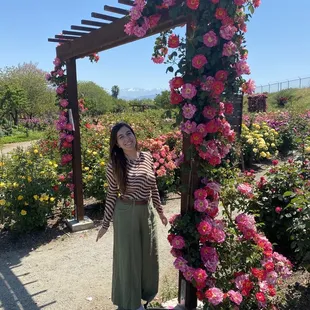 Rose arch