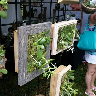 Cool succulent planter