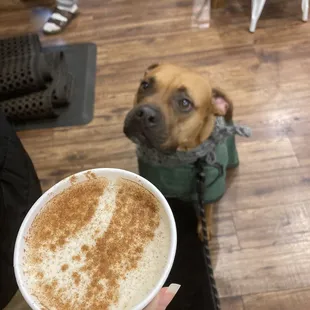 chai latte