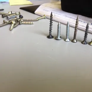 Metal wood drywall panhead.....great screw collection from under the seat.